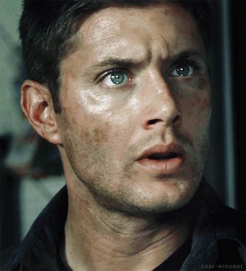 tumblr_ofmn9yc28L1v2ao55o1_500