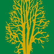 maine-forestry logo