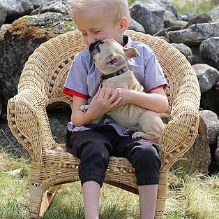 Mason and Moose
