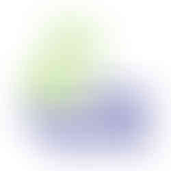 Keep Charleston Beautiful Community Programs