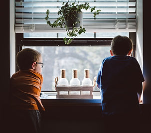 Looking out the Window
