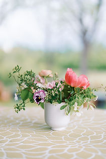 Spring at Its Most Honest