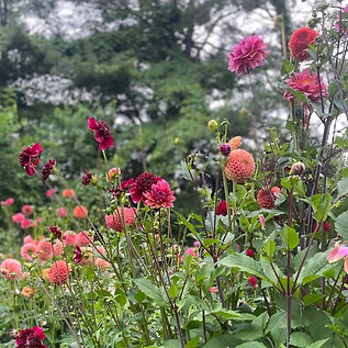 What “Sustainable Floristry” Actually Looks Like