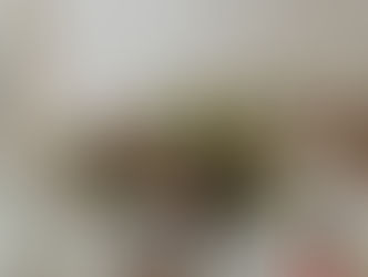 Mid-June wedding at Potomac Point Winery featuring timeless peaches and creams with rich wine-colored accents and early dahlias, designed by The Fertile Burb in Virginia.