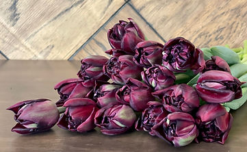 Unsustainable Valentine’s Roses