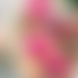 The Burb Edit: Color Without The Chaos