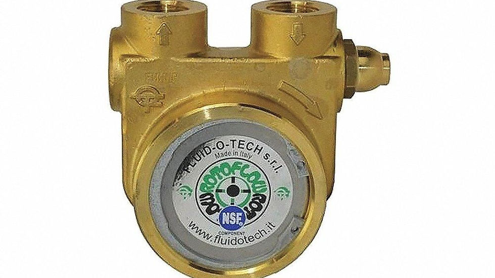 FLUID-O-TECH Pompa Vibrante 1106PAALM1N – 70W, 230V, Attacchi 1/8" IG, Lunghezza 129 Mm, 50Hz
