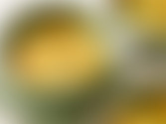 Fluffy Stew Dumplings