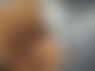 Chocolate Oat Breakfast Cookies