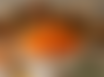 Mandarin Orange Jello Salad