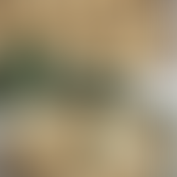 The Baker's Essential Cut-Out Cookies