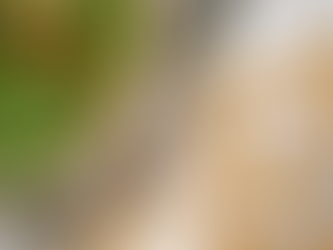 Homemade Garlic Cheese Croutons