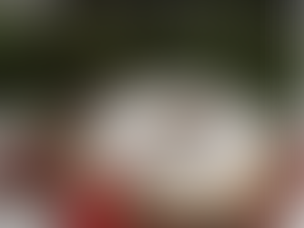 Cinnamon-Infused Eggnog Pavlova