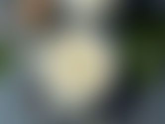 Vegan Blue Cheese Dressing