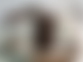 Chocolate Peppermint Cookies