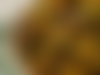 Roasted Brussels Sprouts with Honey Balsamic