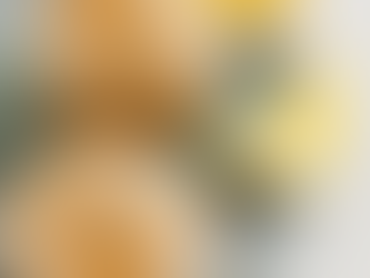 Lemon Poppy Seed Muffins