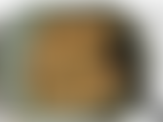 Spicy Togarashi Tofu