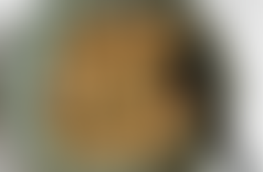 Spicy Togarashi Tofu