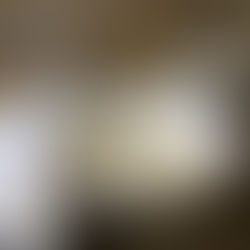 Condensed Cream of Mushroom Soup