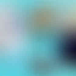 Dicas de Ferias - Preparando