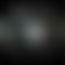 Jungle Dub House Holiday Bash +