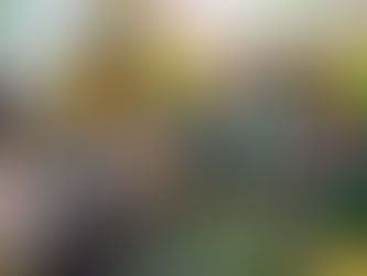 Наш любимый рефлексивный круг