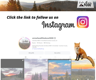 Life Above 9000' Instagram follow.png