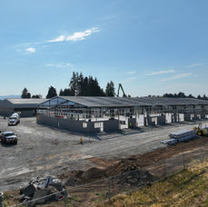 Nielsen Ind Site - Drone 3.jpg