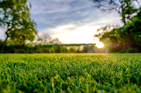 iStock-667107666.jpeg