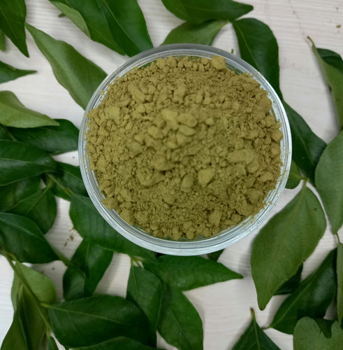 Curry Leaves Powder (HSN Code 1404) - 100g | Praacheen Vidhaan