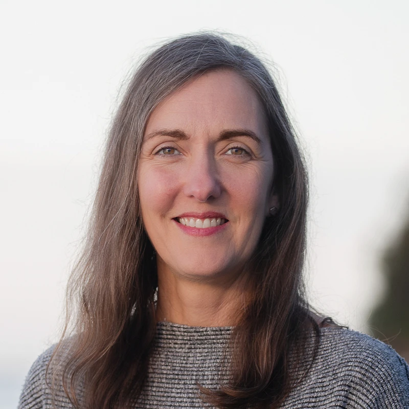 Writer: Stephanie Curran