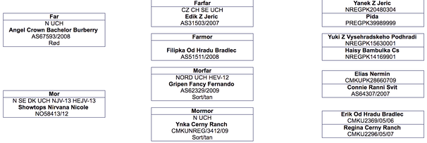 output-onlinepngtools.png