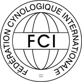 FCI LOGO.png