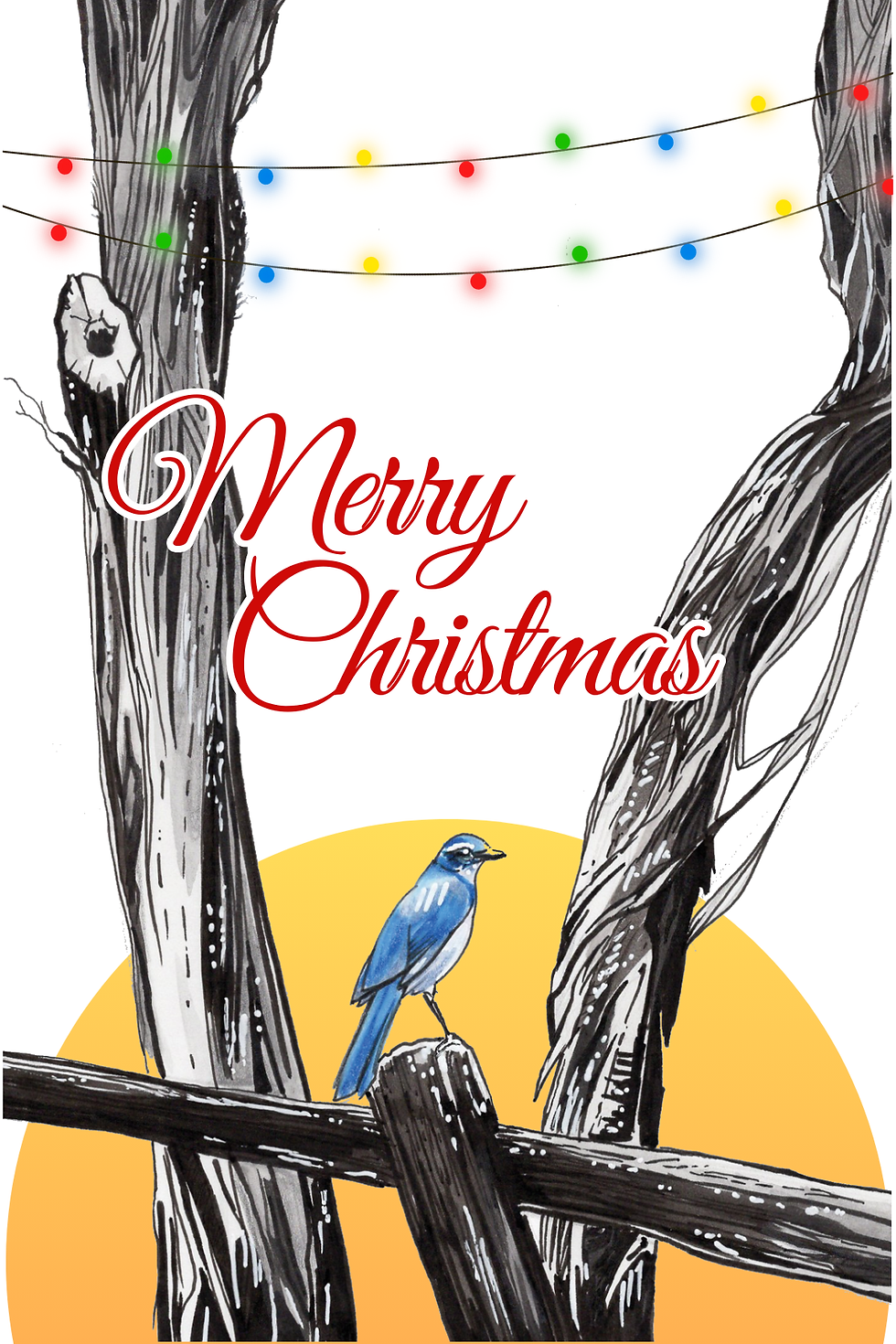 5 PACK - Scrub Jay Merry Christmas 4x6 Blank Cards