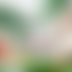 Visit the Manzanita Farmers Market