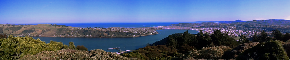 Tours Dunedin | Cruise Ship Tour