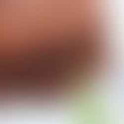 Galettes de haricots rouges