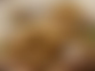 bouillon cube maison