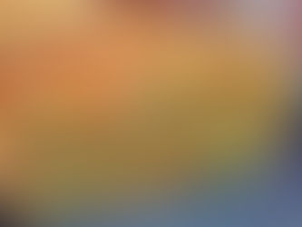 Muffins invisibles aux carottes