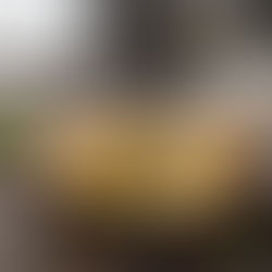 Aubergines soufflées aux épices