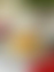 Panettone Bread Pudding