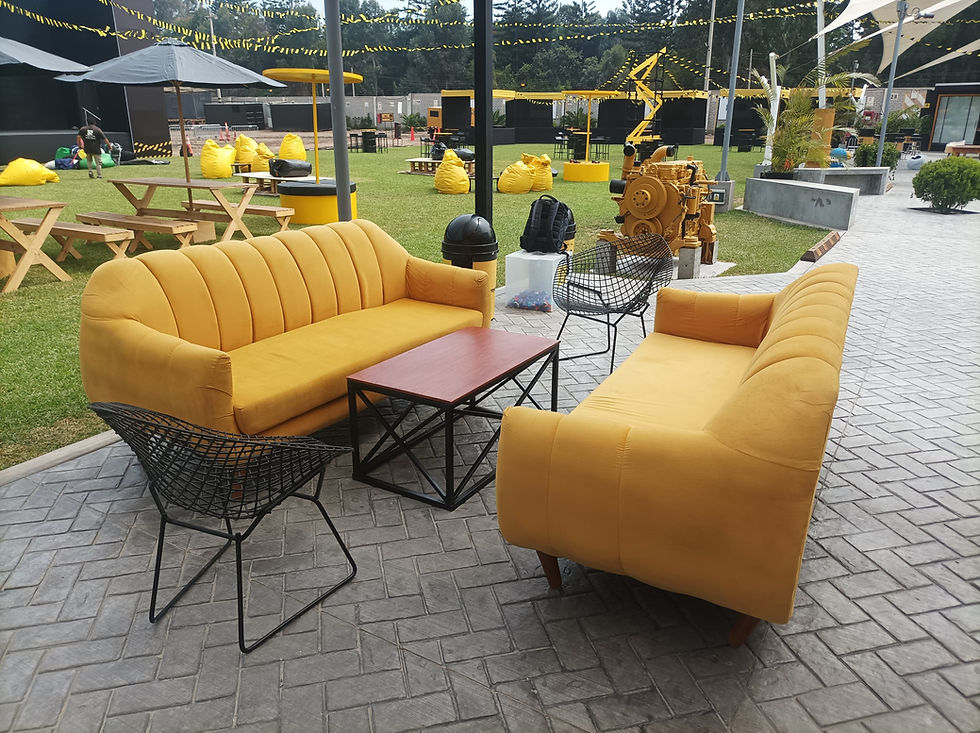 Miniatura: Sala Lounge ORGÁNICA