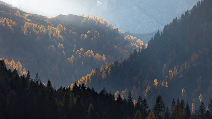 Layered mountain ridges with sunlit autumn trees in the Dolomites.