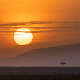 Sunrise on the Masai Mara, Kenya