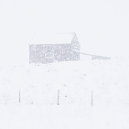 Snow-covered barn in a white landscape, nearly blending into the background.
