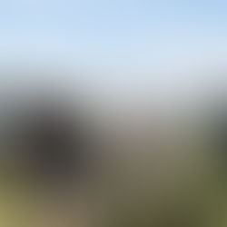 Maisonnettes, l'incontournable des gourmands !