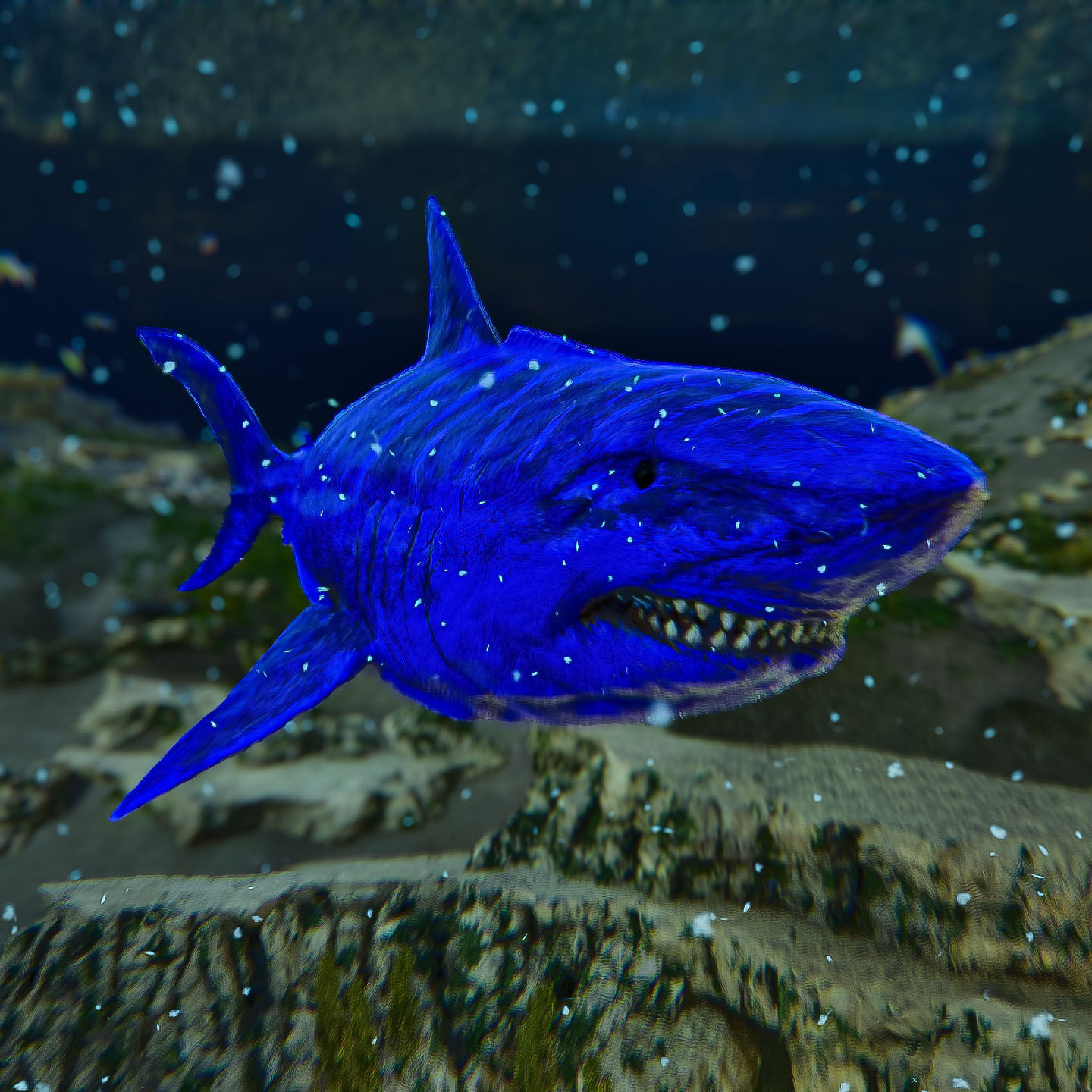 Megalodon [PvE Cross]