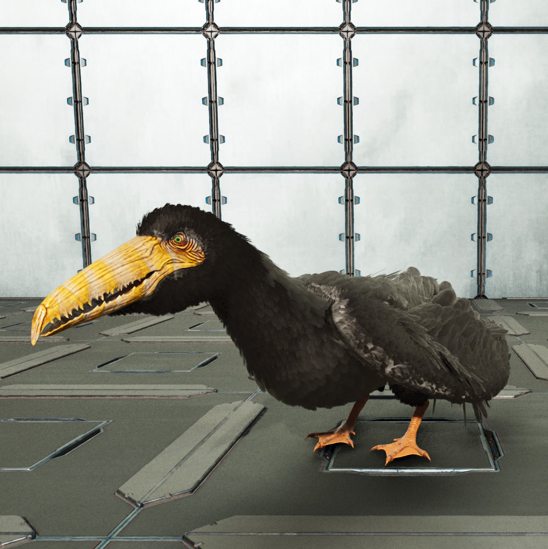 Pelagornis [PvE Cross]