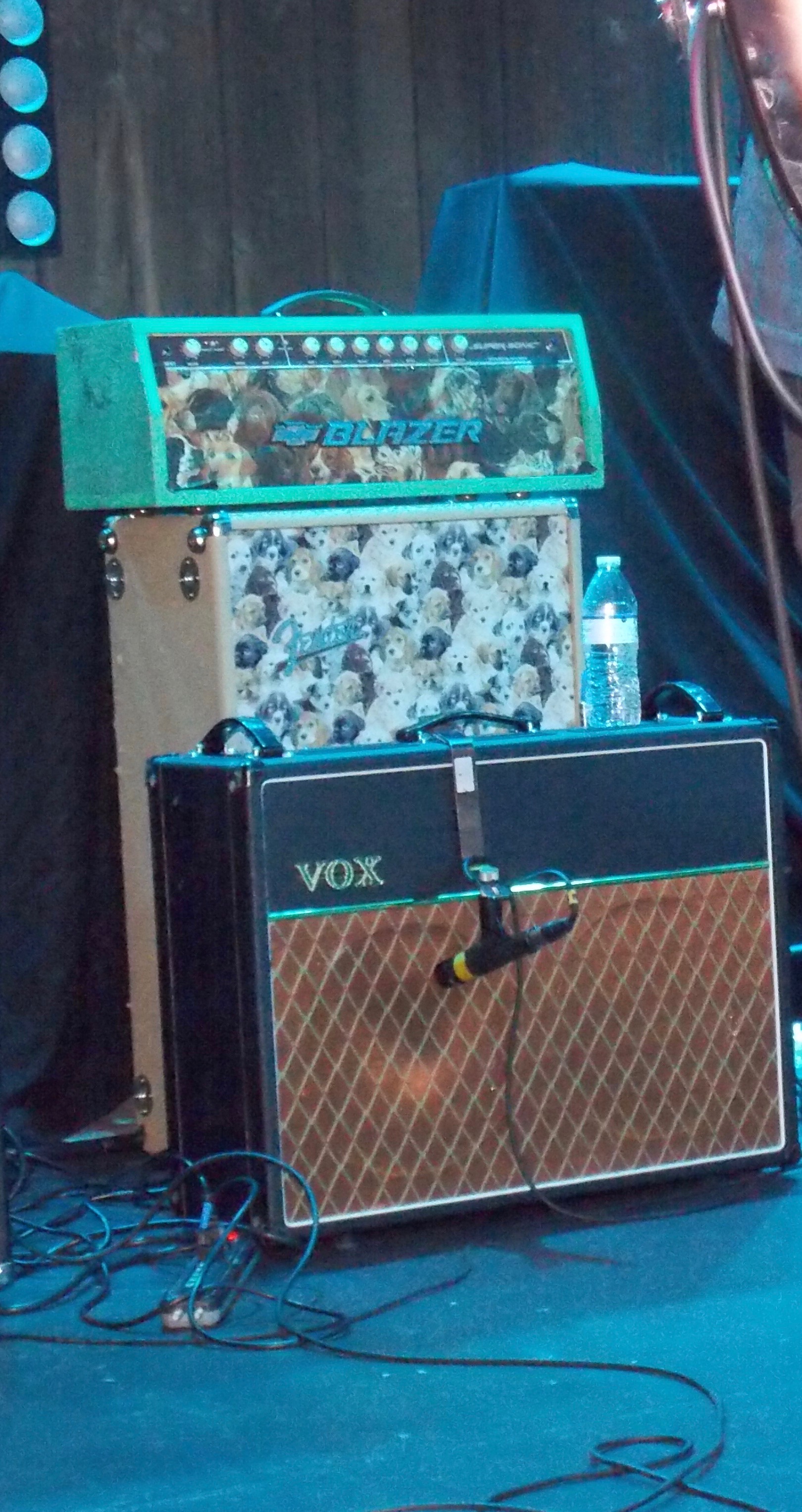 The amp was full of puppies <3